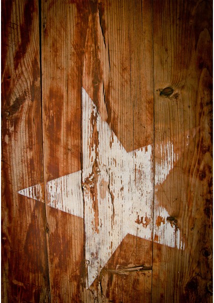 Dijital Baskı Dekoratif Kaymaz Taban Yıkanabilir Halı fiyatları