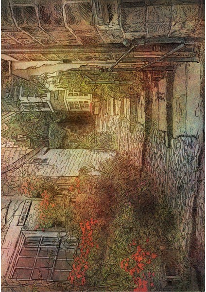 Dijital Baskı Dekoratif Kaymaz Taban Yıkanabilir Halı fiyatları