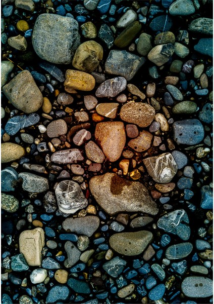 Dijital Baskı Dekoratif Kaymaz Taban Yıkanabilir Halı fiyatları