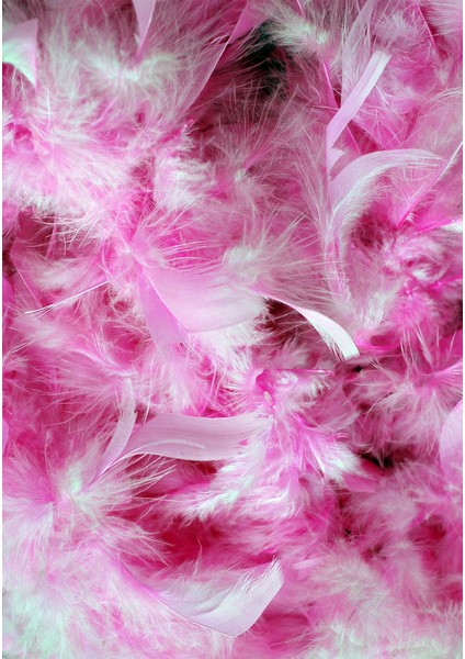 Dijital Baskı Dekoratif Kaymaz Taban Yıkanabilir Halı fiyatları