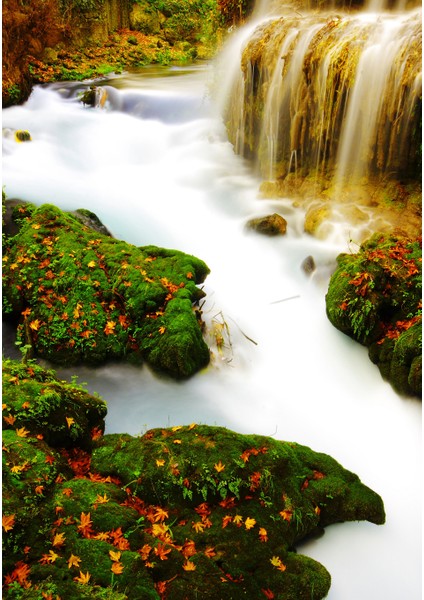Dijital Baskı Dekoratif Kaymaz Taban Yıkanabilir Halı fiyatları