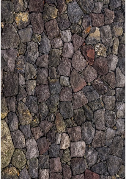 Dijital Baskı Dekoratif Kaymaz Taban Yıkanabilir Halı fiyatları