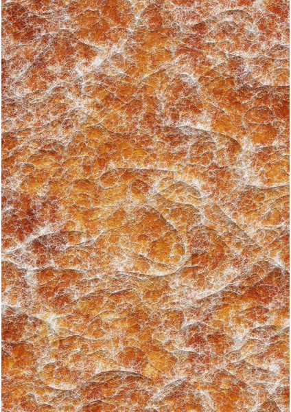 Dijital Baskı Dekoratif Kaymaz Taban Yıkanabilir Halı fiyatları