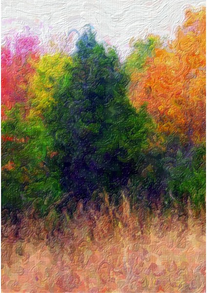 Dijital Baskı Dekoratif Kaymaz Taban Yıkanabilir Halı fiyatları