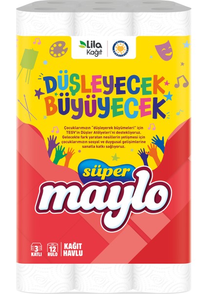 Süper Maylo Tegv Kağıt Havlu 12'li