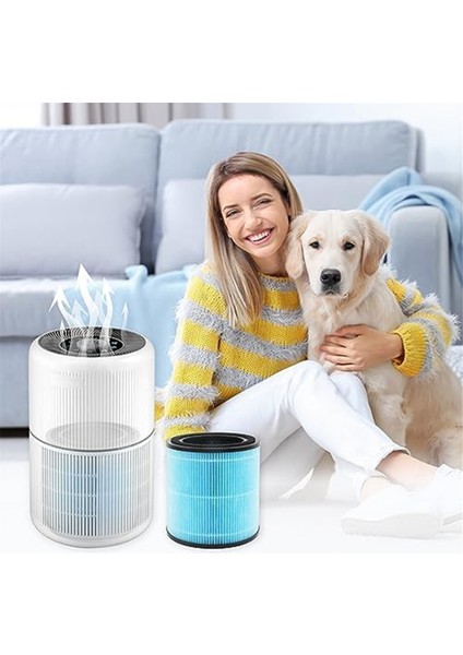 AP0601 Aırto Için Hava Temizleme Filtresi, 4 Aşamalı H13 Gerçek Hepa Filtre (Yurt Dışından) modelleri