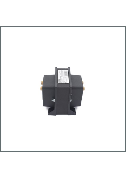 TTV007 Serisi 400/100 V Gerilim Trafosu cl.0,5 (7 VA)
