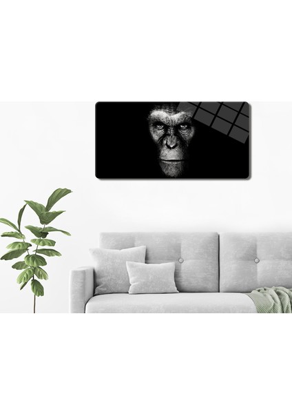 Cam Tablo | Modern Art Serisi | Dark Monkey | 40CM x 80CM