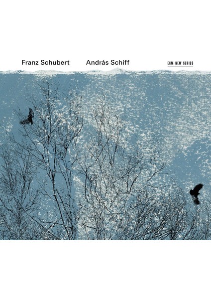 Schubert: Fortepıano-Cd