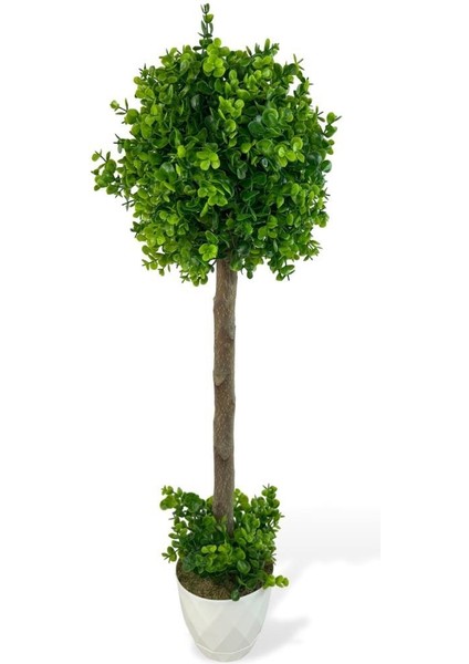 Yapay Ağaç Şimşir Top 85*30CM Beyaz Saksılı Yeşil Ağaç