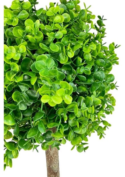 Yapay Ağaç Şimşir Top 85*30CM Beyaz Saksılı Yeşil Ağaç fiyatları