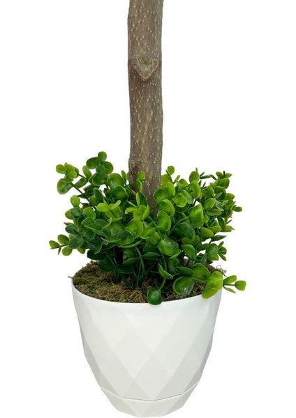 Yapay Ağaç Şimşir Top 85*30CM Beyaz Saksılı Yeşil Ağaç modelleri