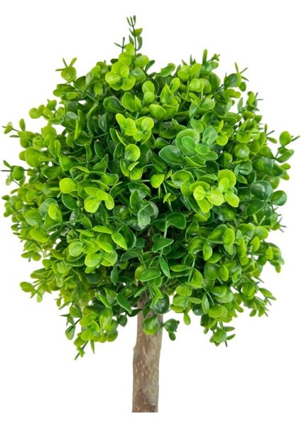 Yapay Ağaç Şimşir Top 85*30CM Beyaz Saksılı Yeşil Ağaç fırsatları