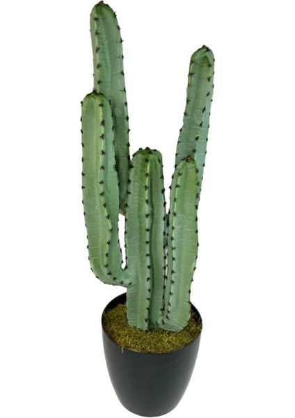 Yapay Çiçek Kaktüs Ağacı 4kollu Siyah Saksıda 70*22CM 4027