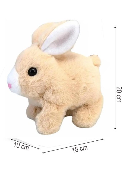 Yürüyen, Sesli Hareketli Sevimli Peluş Bunny Tavşan - Sweet Bunny