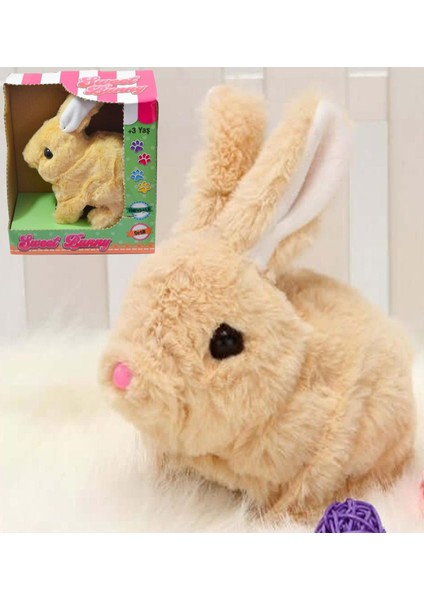 Yürüyen, Sesli Hareketli Sevimli Peluş Bunny Tavşan - Sweet Bunny