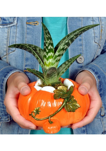 Yavrulu Büyük Kabak Saksı Silikon Kalıp K-546