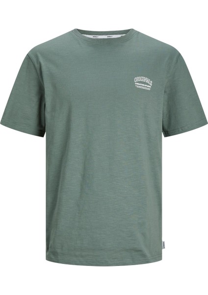 O Yaka Standart Kalıp Yeşil Erkek T-Shirt 12251772