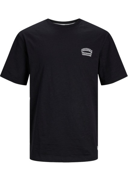O Yaka Standart Kalıp Siyah Erkek T-Shirt 12251772