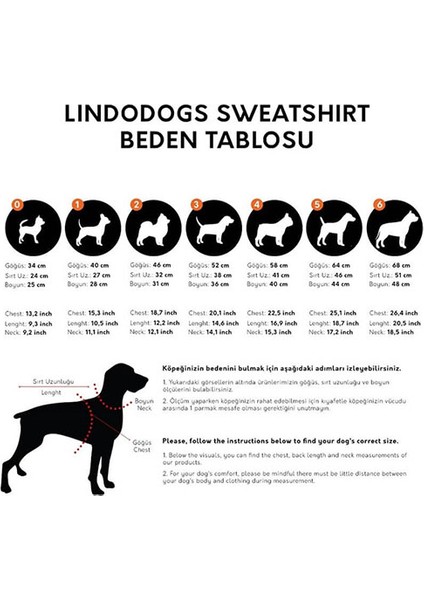 Army General Sweat Köpek Kıyafeti Beden 5