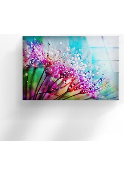 Renkli Karahindiba Çiçeği Temperli Cam Duvar Tablosu