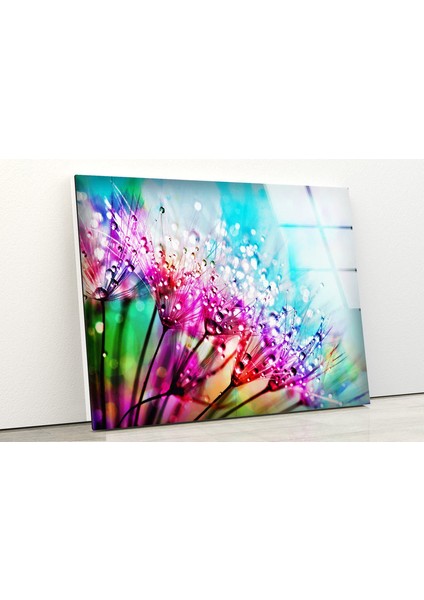 Renkli Karahindiba Çiçeği Temperli Cam Duvar Tablosu fiyatları