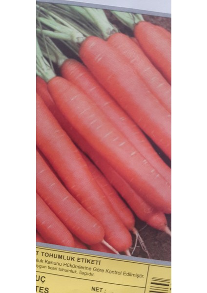 Kolukısa Tarım Havuç Tohumu fiyatları