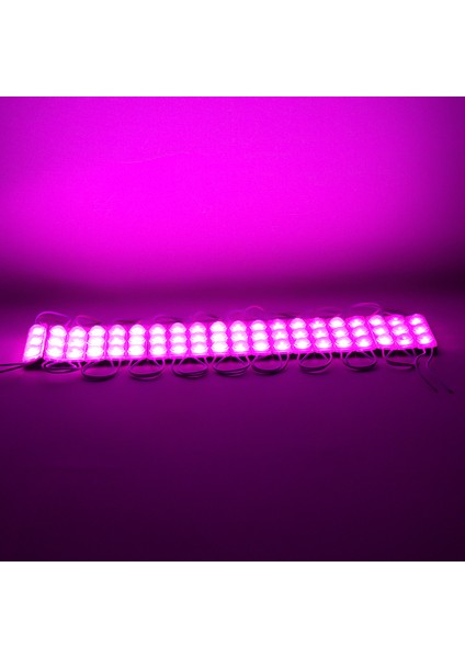 Powermaster 12 Volt 1.5 Watt Pembe Yanıp Sönen Parlak Tek Renk 69 x 16 mm IP65 Lümen 160 Derece Mercekli Modül LED