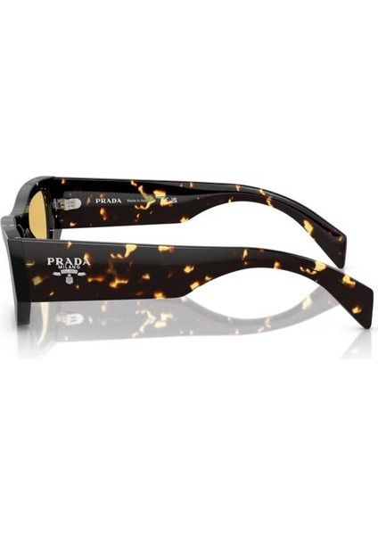 Pr A01S 15O10C 53 Unisex Güneş Gözlüğü