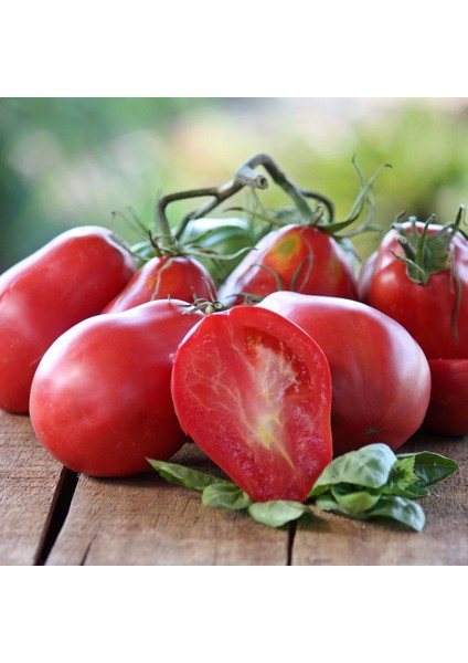 Italian Red Pear Domates Tohumu(15 Tohum)