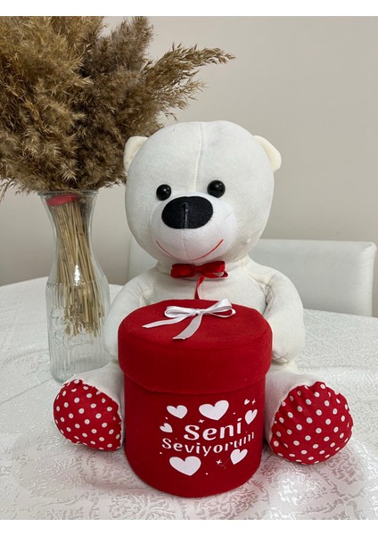 Kutulu Ayıcık 40 cm