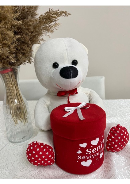 Kutulu Ayıcık 40 cm fiyatları