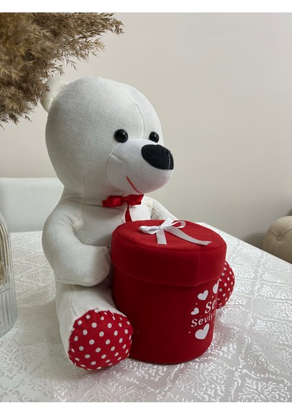 Kutulu Ayıcık 40 cm modelleri