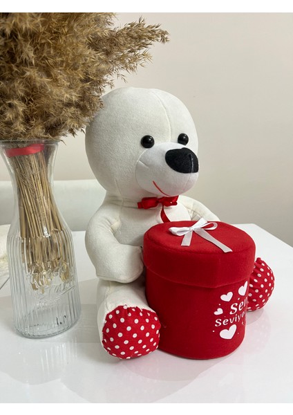 Kutulu Ayıcık 40 cm fırsatları