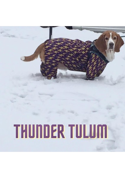 Thunder Polarlı Küçük Irk Köpek Yağmurluk Tulumu fiyatları