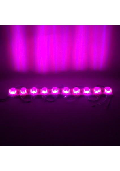 Go İthalat Pembe Modül LED 48*30 2835 24 Volt 1.4 Watt (2818)