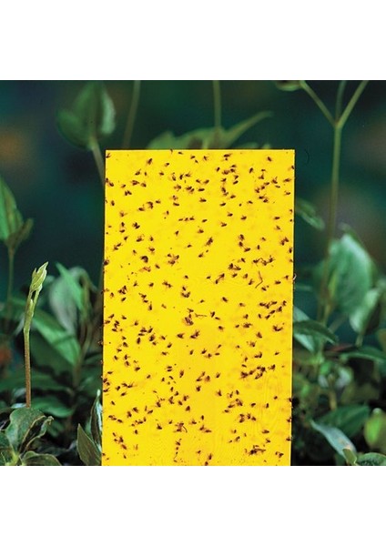 10 cm x 25 cm Sarı Yapışkan Kart Tuzak (10 Adet) fiyatları