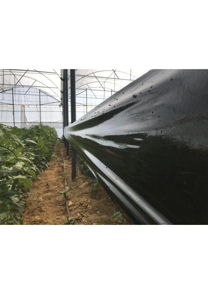 30 CM x 100 M Yapışkan Siyah Rulo Tuzak fiyatları