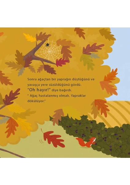 Sincap’ın Sonbahar Bulmacası – Anita Loughrey modelleri