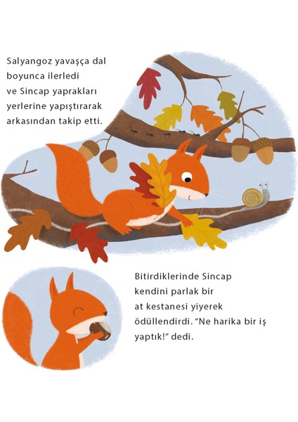 Sincap’ın Sonbahar Bulmacası – Anita Loughrey fırsatları