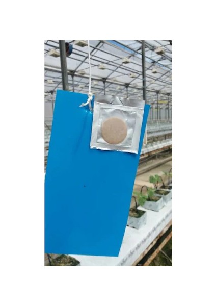 10 x 25 cm Mavi Yapışkan Kart Tuzak