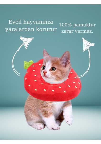 Şişme Yakalığı Yavru Kedi Koruyucu Boyunluk BuShop Yüksek Kalite %100 Pamuk Çilek Modeli Medium