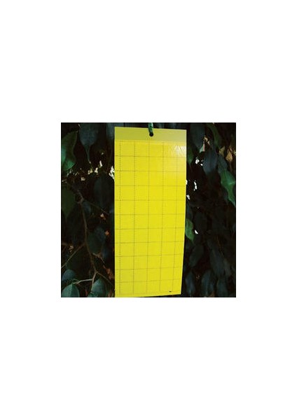 25 x 40 cm Sarı Yapışkan Kareli Tuzak