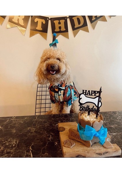 Köpekler Için Doğum Günü Seti- Happy Kit- Doğum Günü Pastası, Kemik Tasarımlı Süs, Doğum Günü Şapka