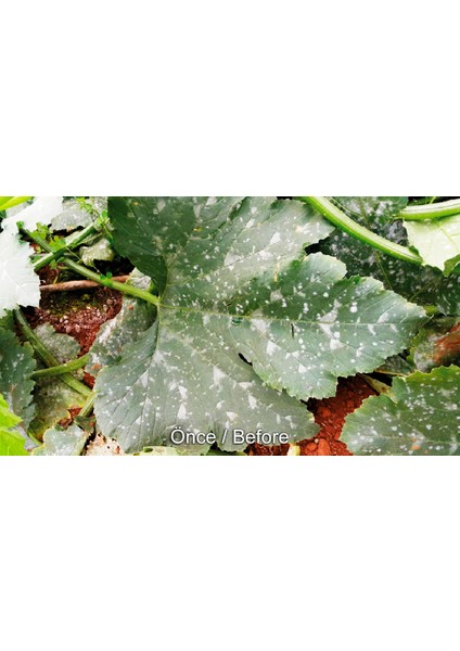 Nano Green Sıvı Gübre 1 L