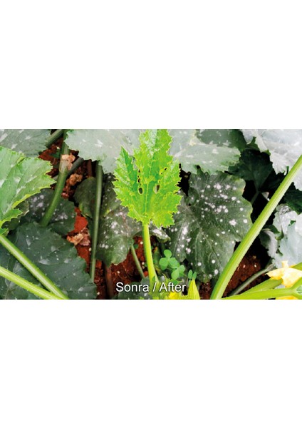 Nano Green Sıvı Gübre 1 L
