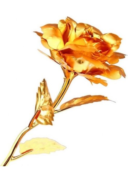 Altın Folyo Gül Özel Tasarım Sevgililer Günü Hediyesi Unutulmayacak Anı Özel Kutusunda fiyatları