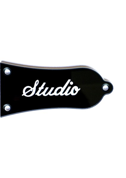 Stüdyo Tarzı Abd Epi Gitar Standart Truss Rod Kapak Plakası Için Pleroo Gitar Parçaları (Yurt Dışından)