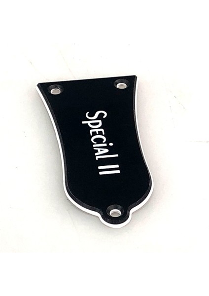 Stüdyo Tarzı Abd Epi Gitar Standart Truss Rod Kapak Plakası Için Pleroo Gitar Parçaları (Yurt Dışından) modelleri
