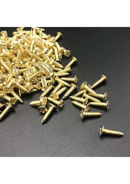Altın X100PCS Tarzı Adet 3*12MM Bas Gitar Pickguard Vidalar Boşluk Kapağı Jack Kapak Plakası Vida St Tl Elektro Gitar Aksesuarları (Yurt Dışından)
